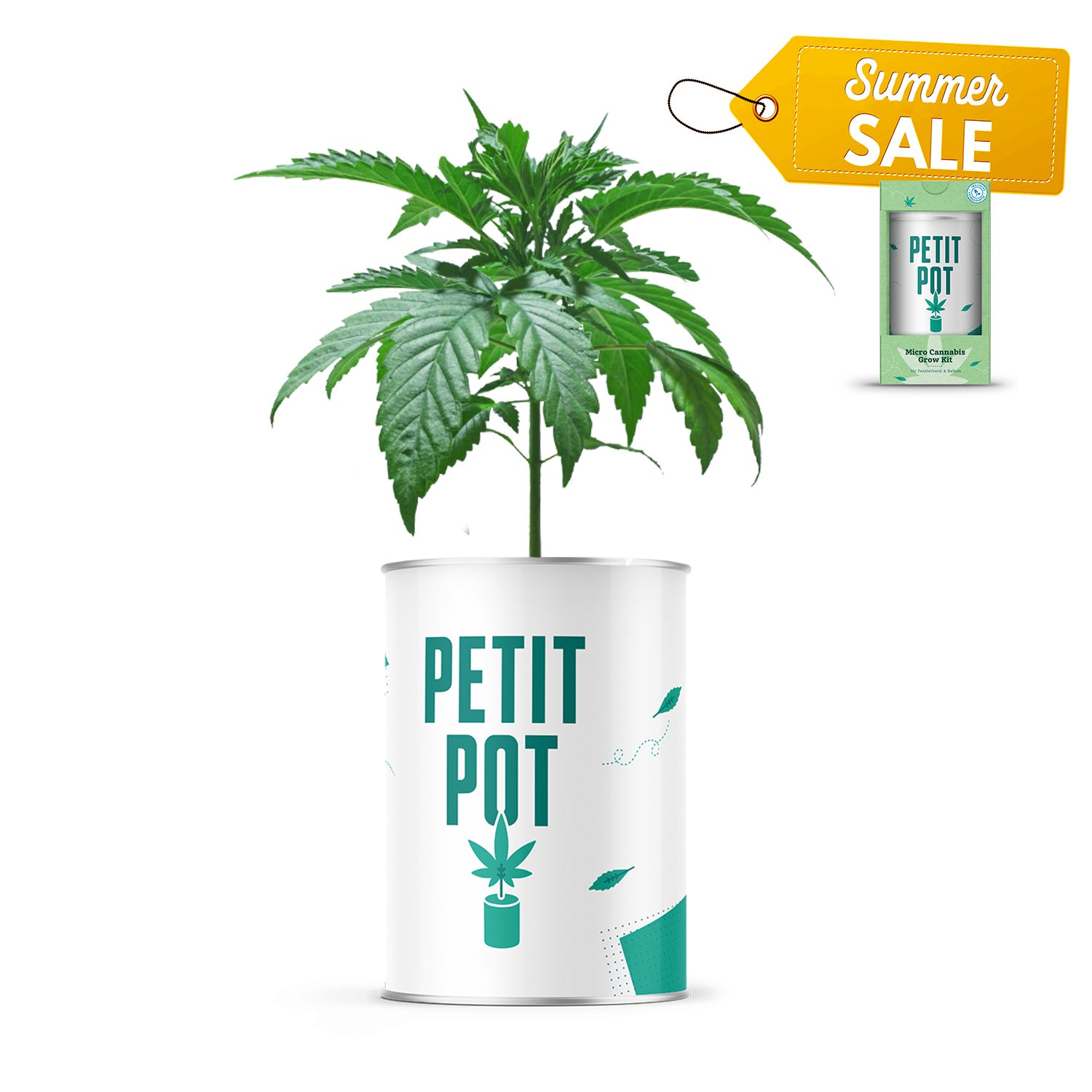 Petit Pot - Cannabis Micro Grow Kit